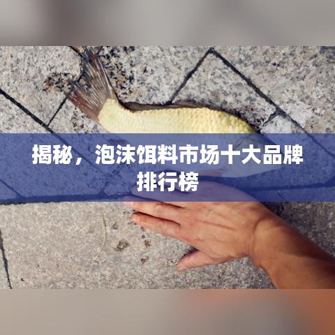 2025年6月11日