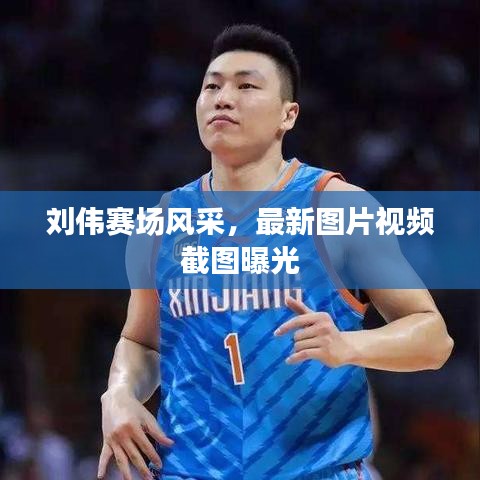 刘伟赛场风采，最新图片视频截图曝光