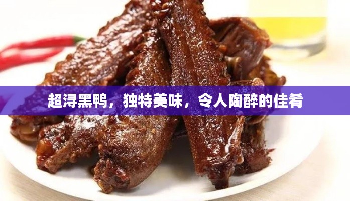 超浔黑鸭，独特美味，令人陶醉的佳肴